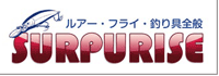 1surpurise_banner_b.gif